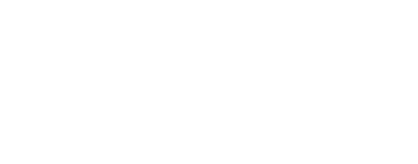 Icon Medicals